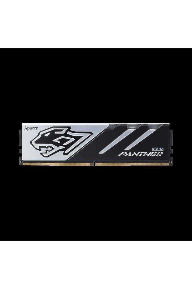 Panther 16Gb 1X16Gb 6000Mhz Cl38 Ddr5 Gaming Ram (Ah5U16G60C6227Baa-1)