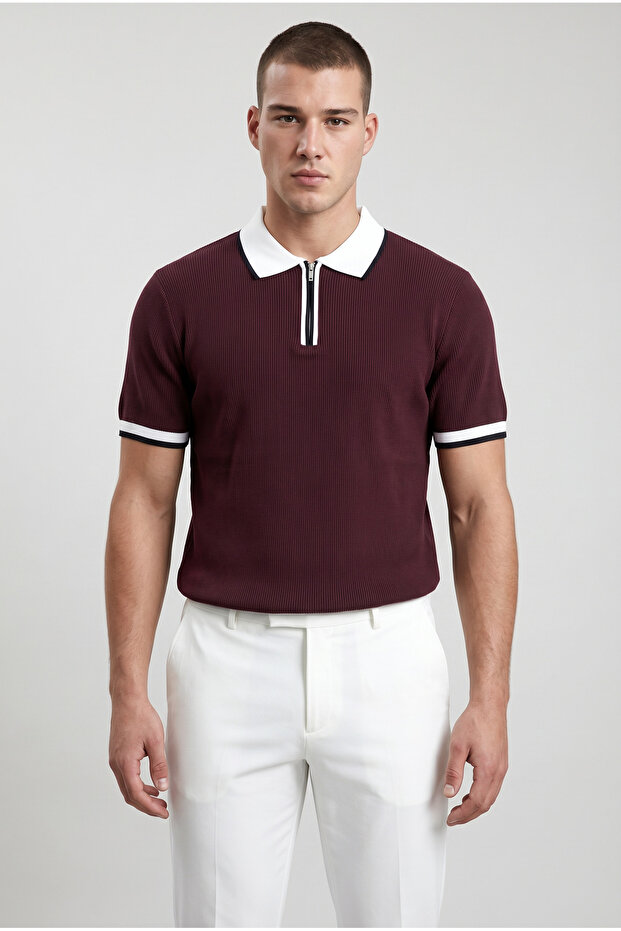 Burgundy Polo Collar Zippered Short Sleeve Men's T-Shirt