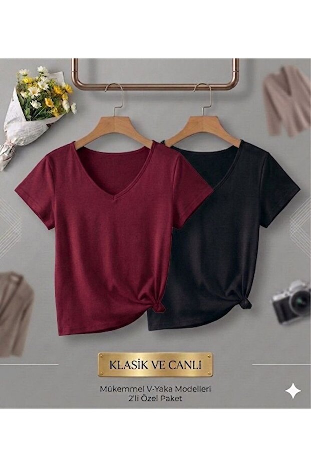 2 Pieces of Plain Regular Fit Women's (V-Neck) T-Shirt
