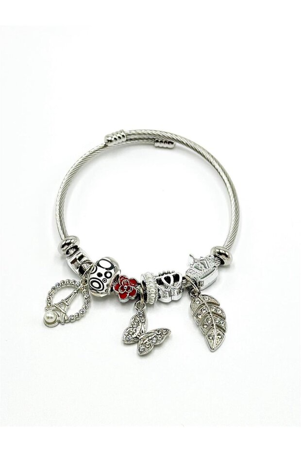 316 L Stainless Steel - Anti Allergic - Tarnish Resistant Silver Pnra Bracelet