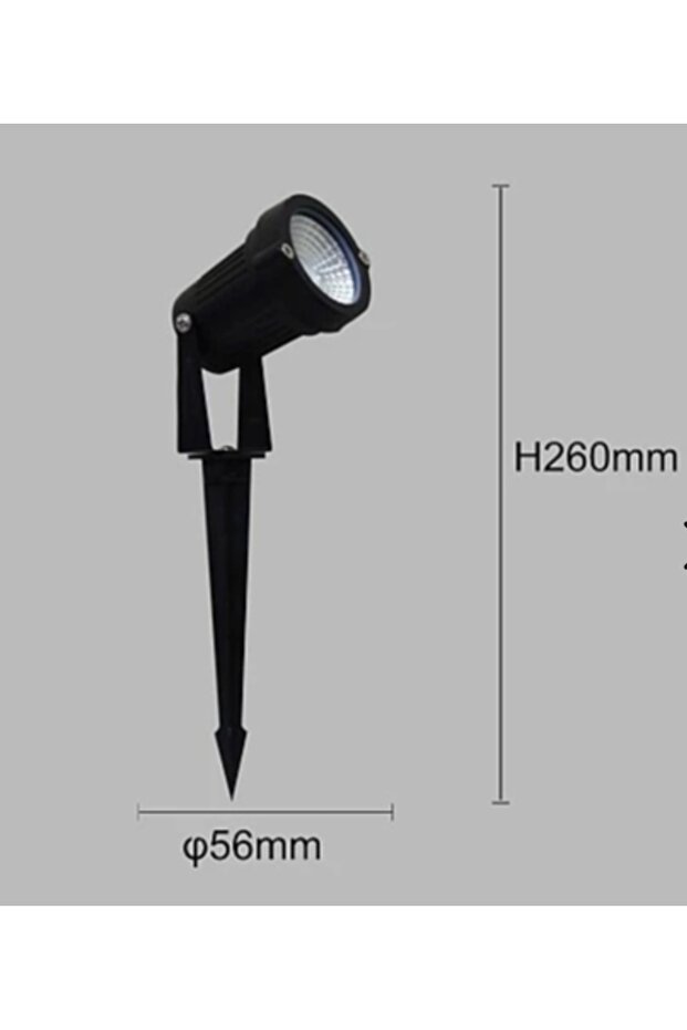 Transplanting Flashlight - 3