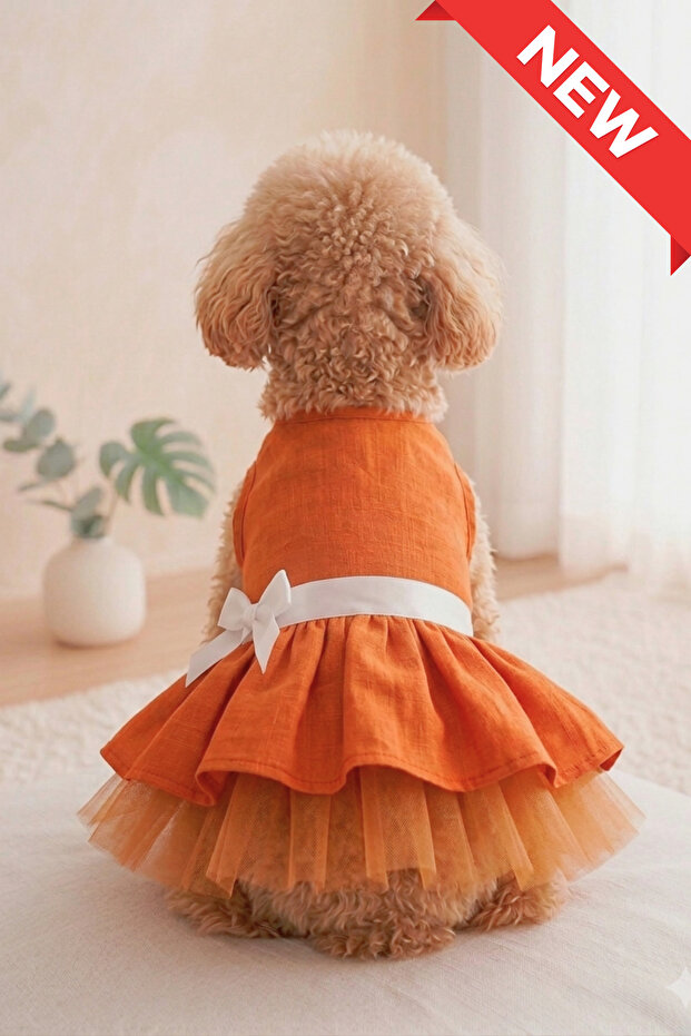 New Season Tutu Light Structure Female Dog Clothes