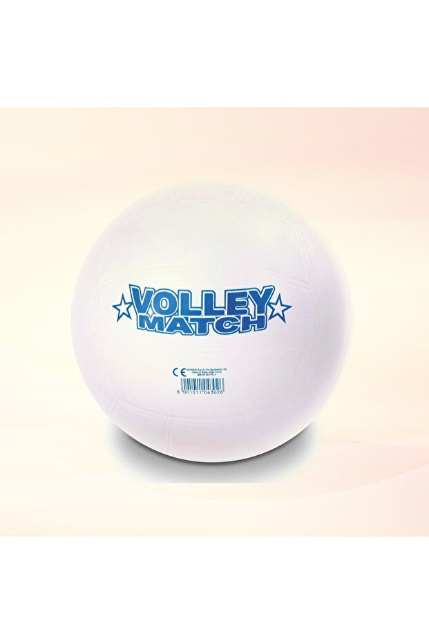 Bioball Volley Match 23 Cm