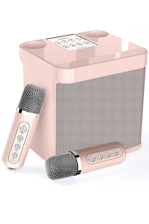 Karaoke Machine with 2 Microphones, Portable Mini Speaker PA System, Bluetooth/USB/AUX/TF (Pink)