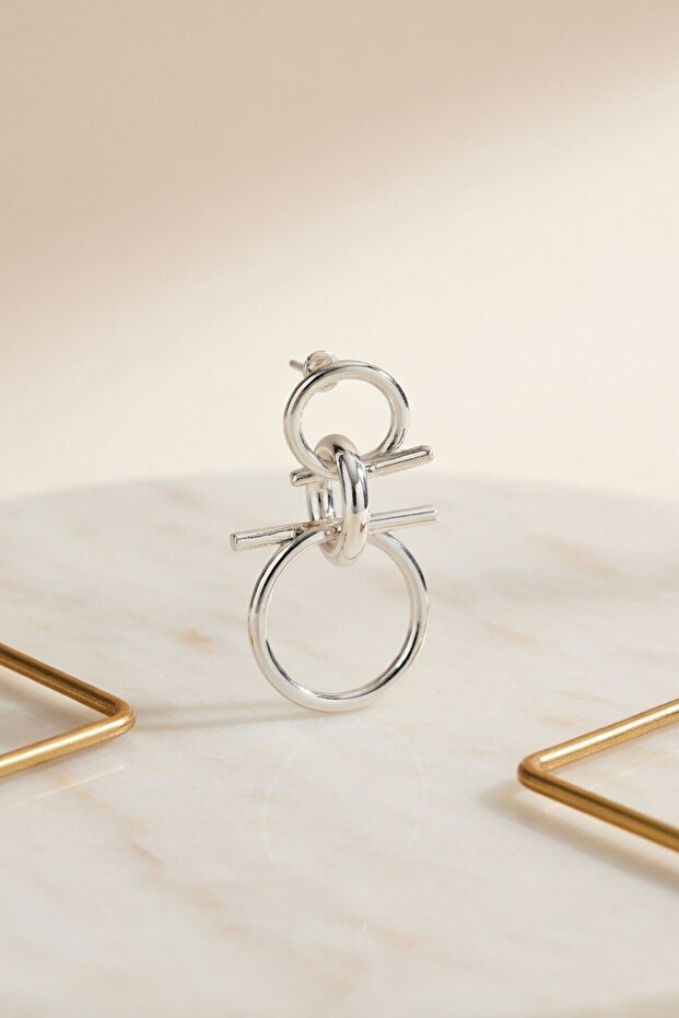 Silver Interlocking Ring Design Earrings - 2