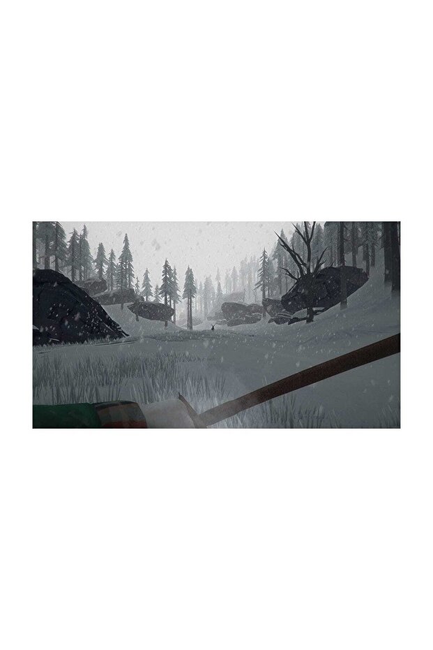 The Long Dark PS4 Oyun - 4