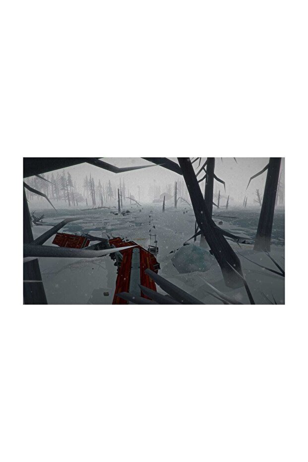 The Long Dark PS4 Oyun - 6