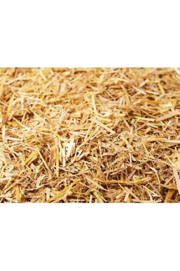 Kemirgen Arpa Samanı - 500 Gr - 3