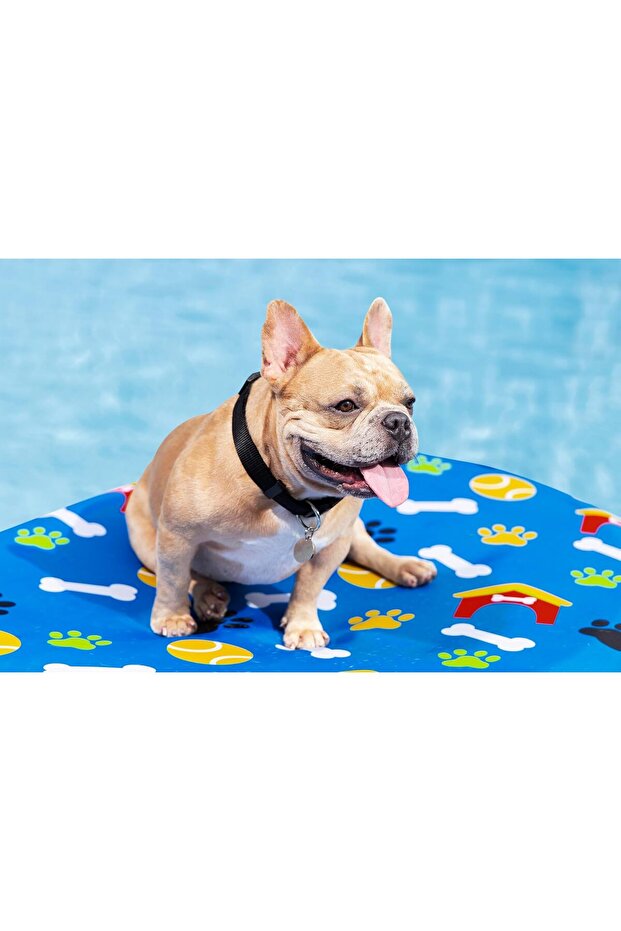 Fetchin' Fun Pet Pool Float - 5
