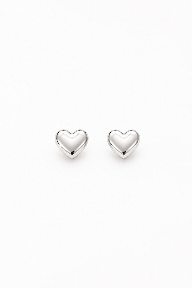 Women's Earrings Chubby Heart Earrings