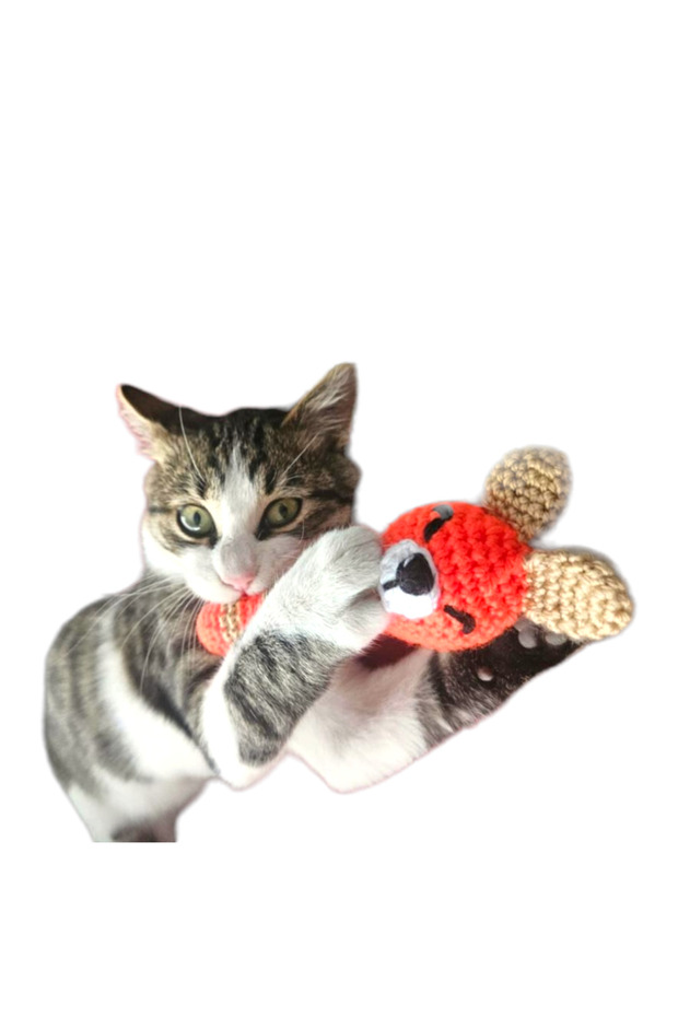 Catnip Cat Scratching Toy & - 6