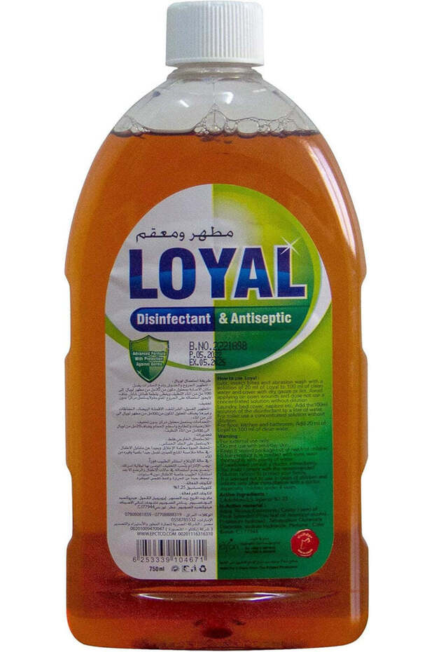 Disinfectant & Antiseptic 750 ml, Protect Your World Against Harmful Germs