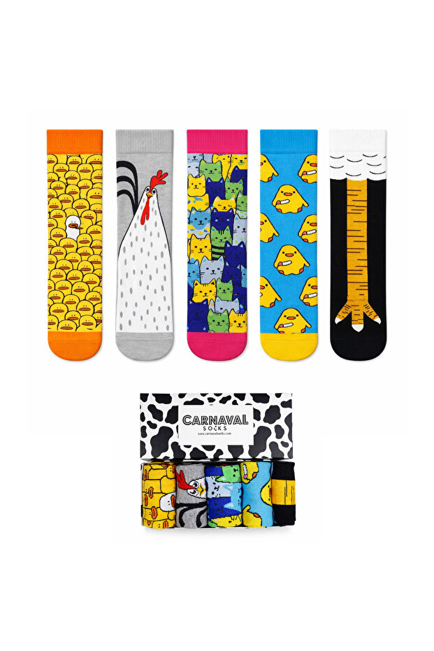 5-Piece Chick & Cat Patterned Socks Collection / Special Design Premium Boxed Socks Set