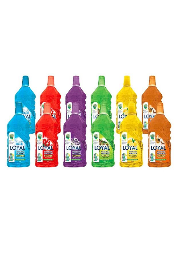 Surface Cleaner 800 ml 12 cans in carton