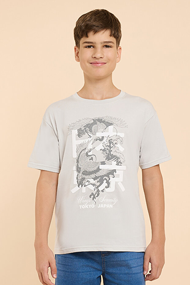 Graphic Print T-Shirt with Crew Neck and Short Sleeves
