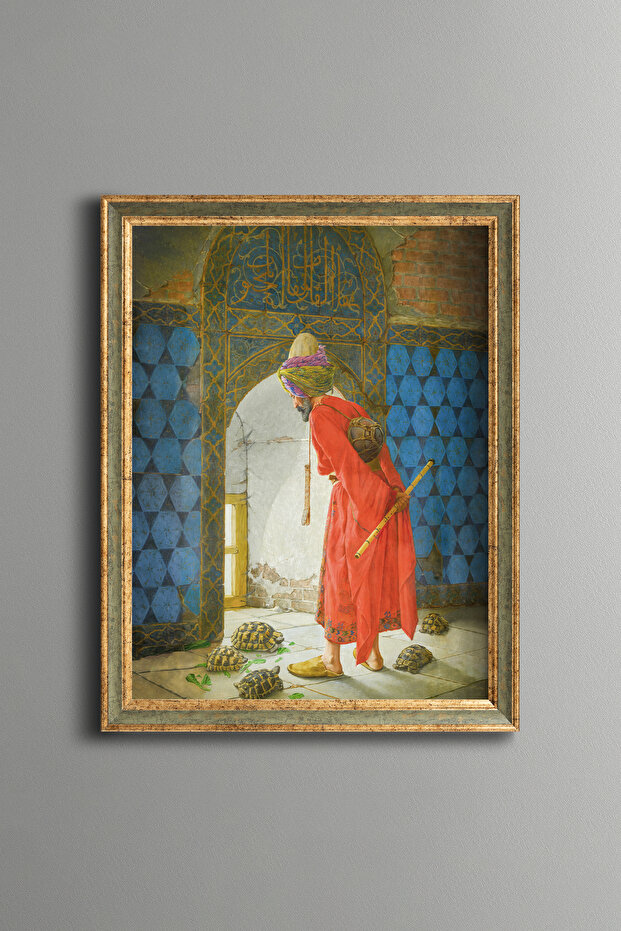 مدرب السلحفاة - إطار بنمط عتيق - موديل نحيف