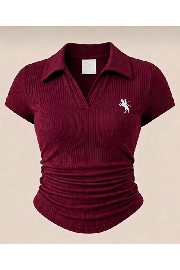 Y2K Polo Collar Embroidered Blouse