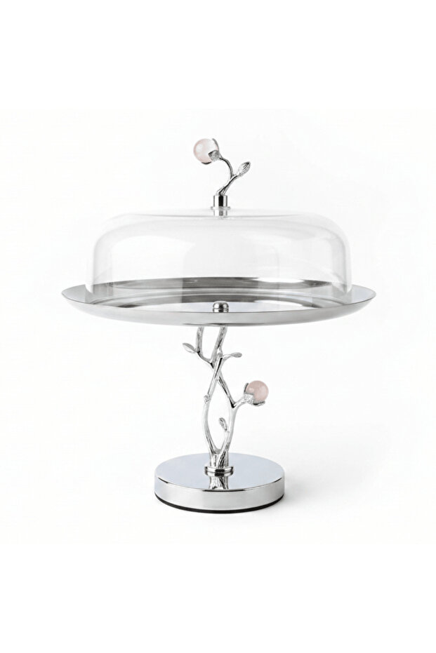 Silver Stainless Steel Footed Cake Stand with Clear Acrylic Dome Cover | 25×25 cm