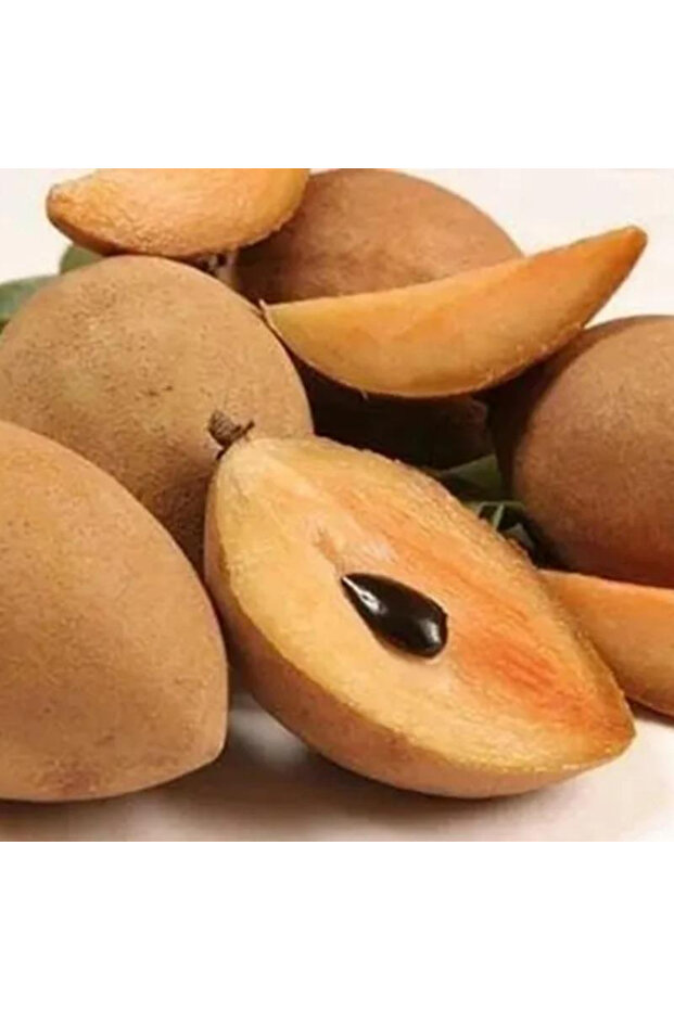 174 بذور شجرة الفاكهة - بذور الفاكهة الفعلية
