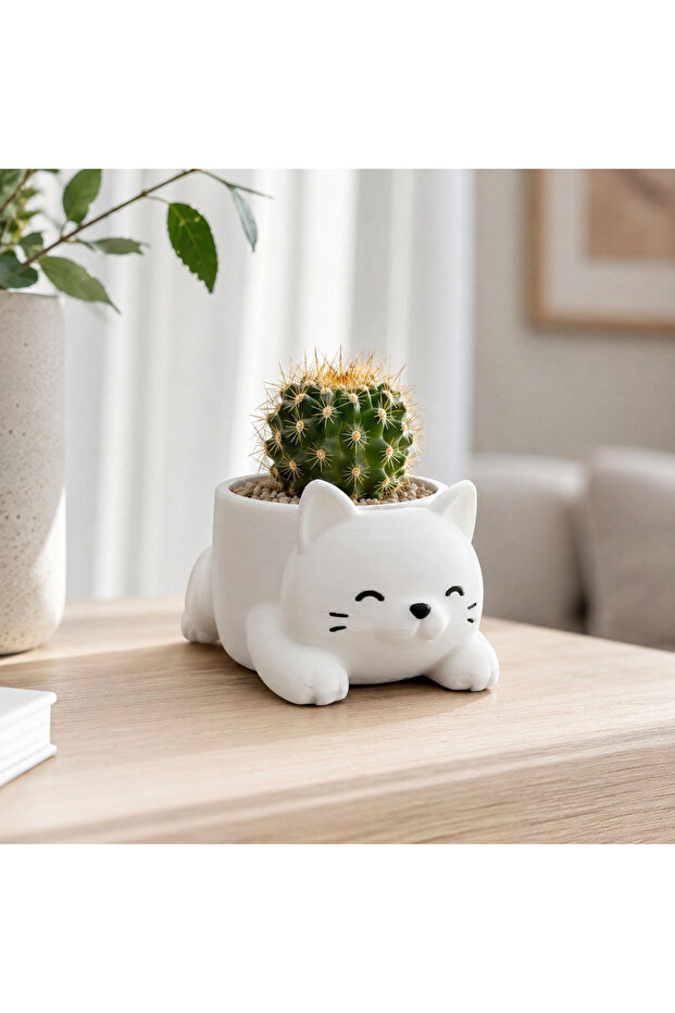 Kedi saksı