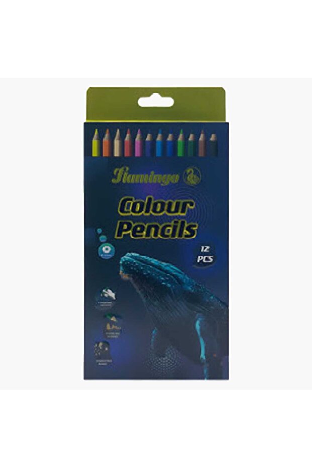 Color Pencil - Pack of 12 pcs