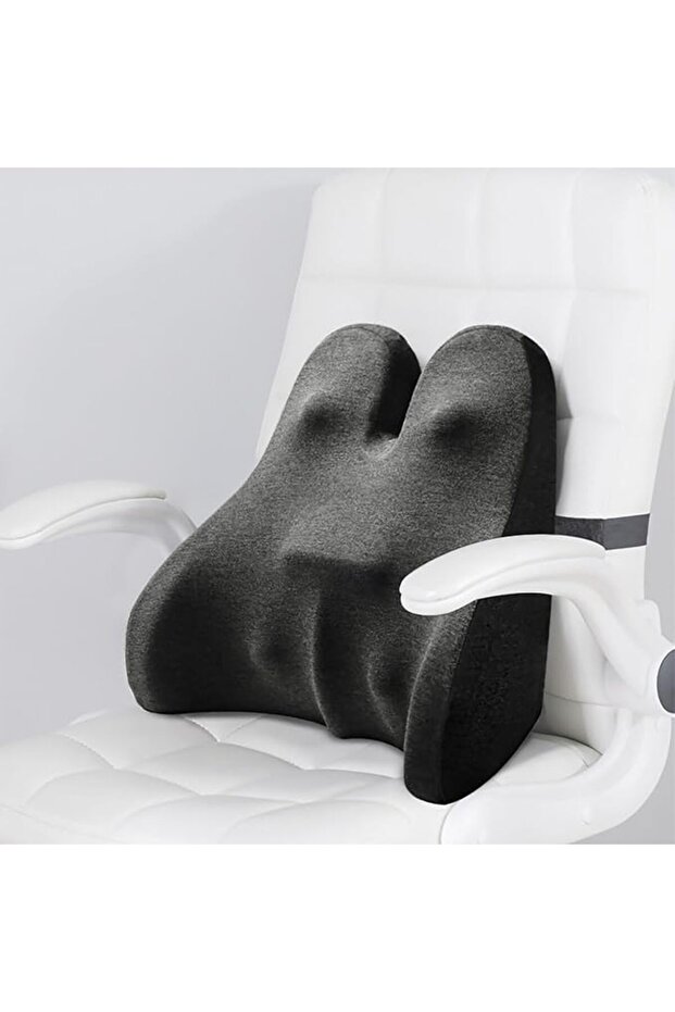 Lumbar Support Pillow, Memory Foam Back Support Pillow, Cushion for Back Pain Relief, Ergono