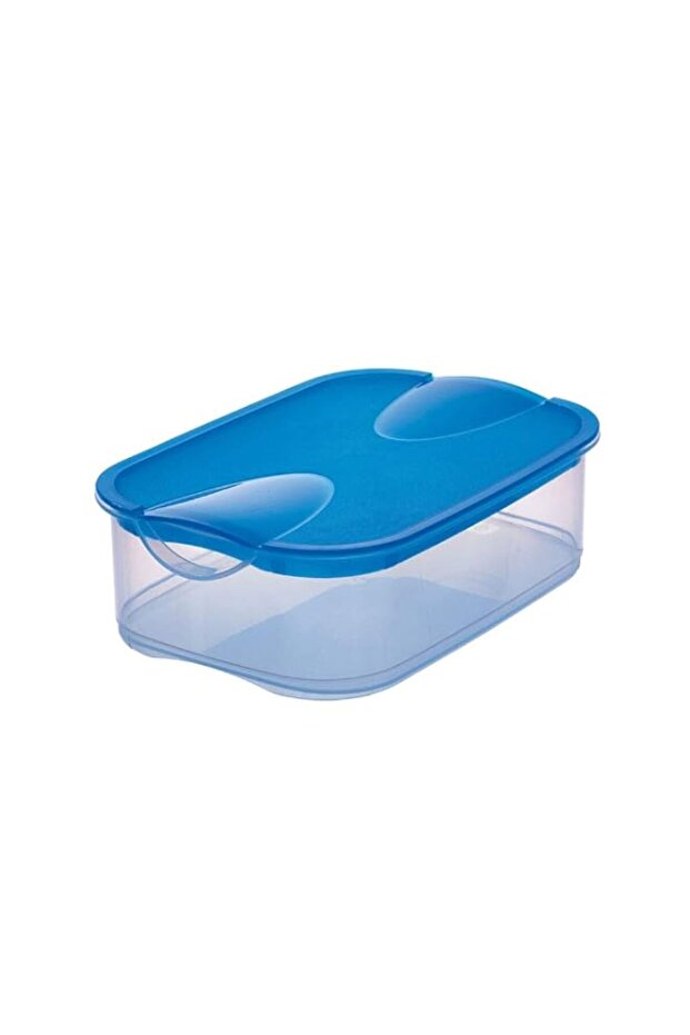 Rival Fridge Box With Cover
