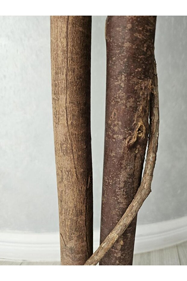 Ficus 180cm - 3