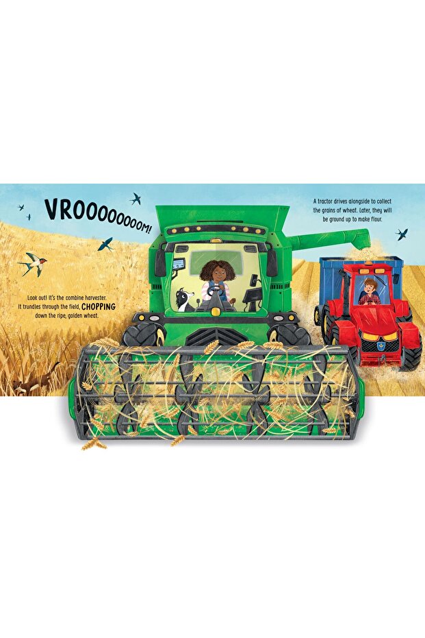 Pop-up Farm - 4
