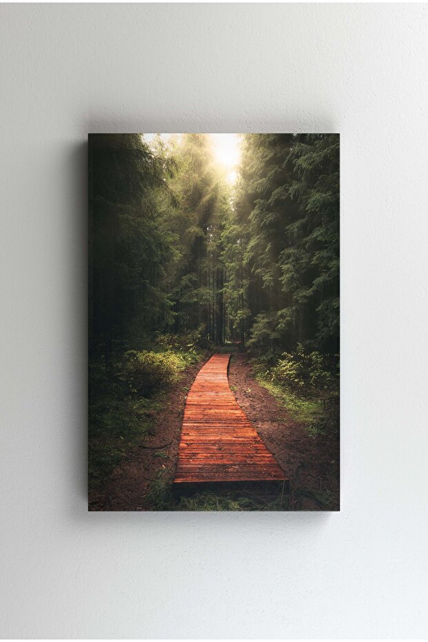Tablou Canvas - Into the Forest - 1