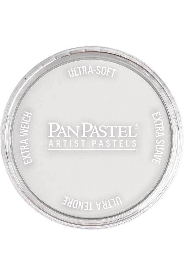Ultra Soft Artist Pastel Paint 820.8 Neutral Gray Tint
