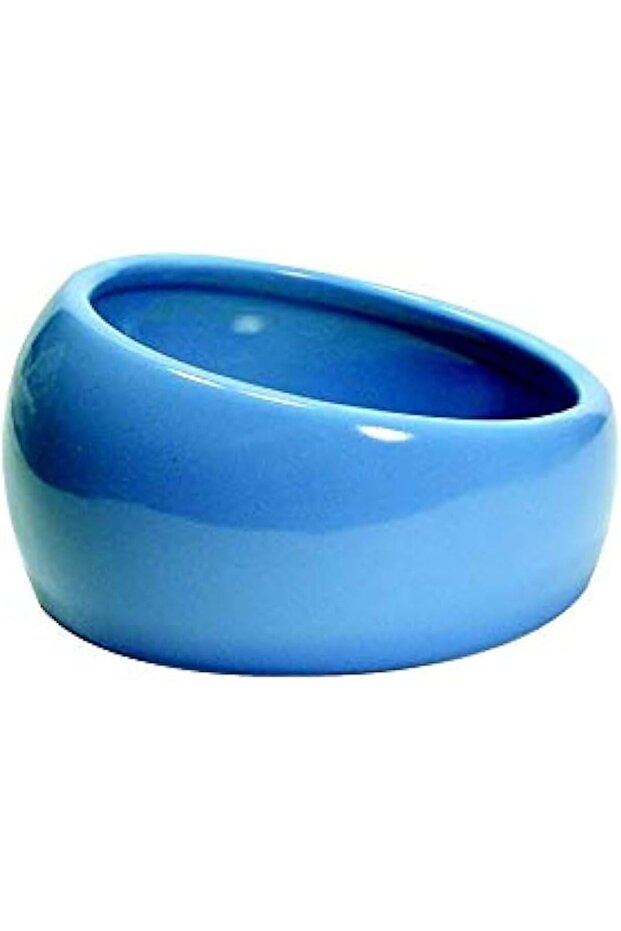 Ergonomic Dish Blue- Small