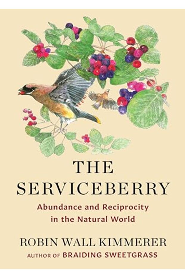 Serviceberry - 1