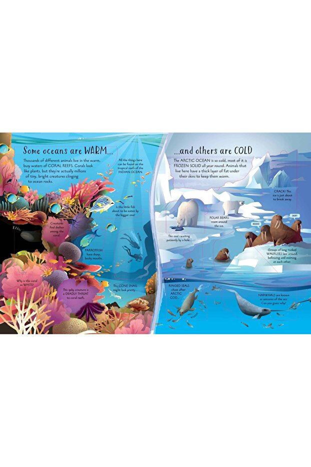 See Inside - Oceans - 4