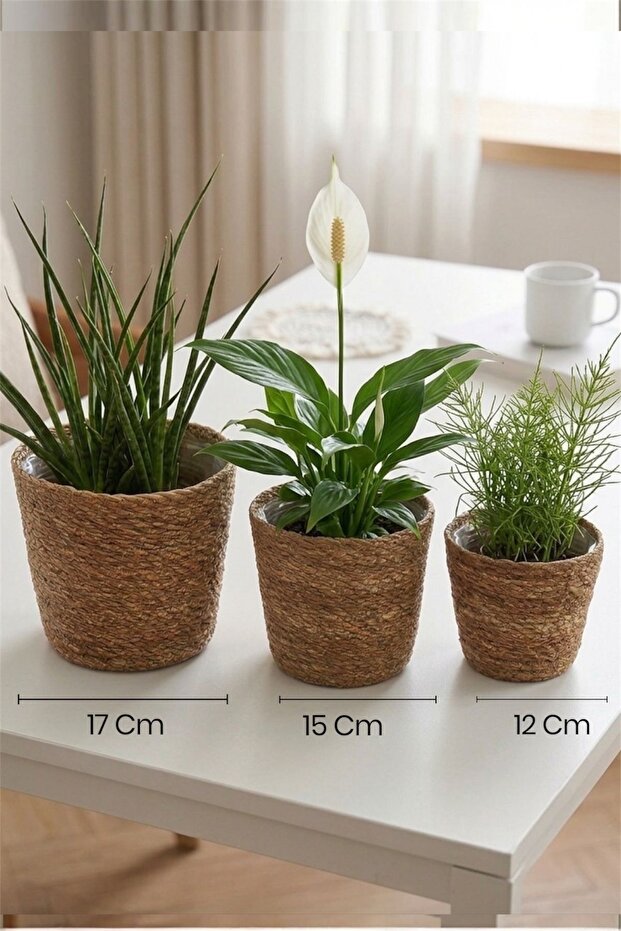 Crow Natural Wicker Flower Pot Hsr-93 Flower Pot Set with Inner Bag - 3 Size Wicker Multi-Purpose Organizer Towel Basket