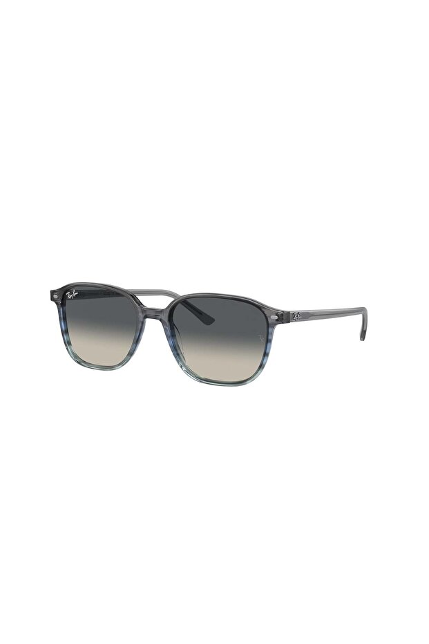 Rb 2193 138171 53 Men's Sunglasses