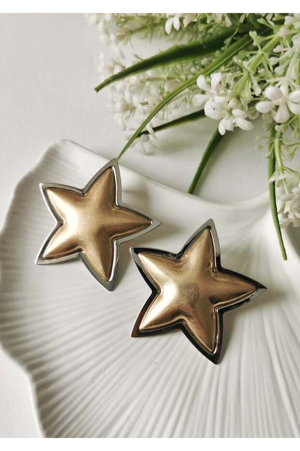 Star Steel Earrings