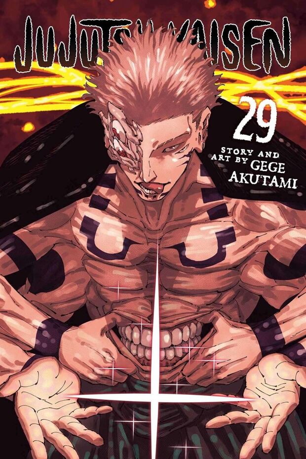 Viz Media Jujutsu Kaisen 29