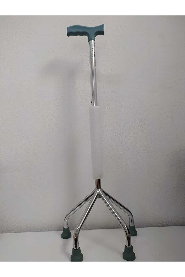 tetrapod