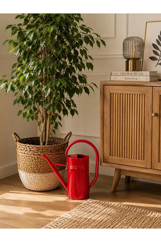 Galvanized Metal Watering Can 3.25 Lt