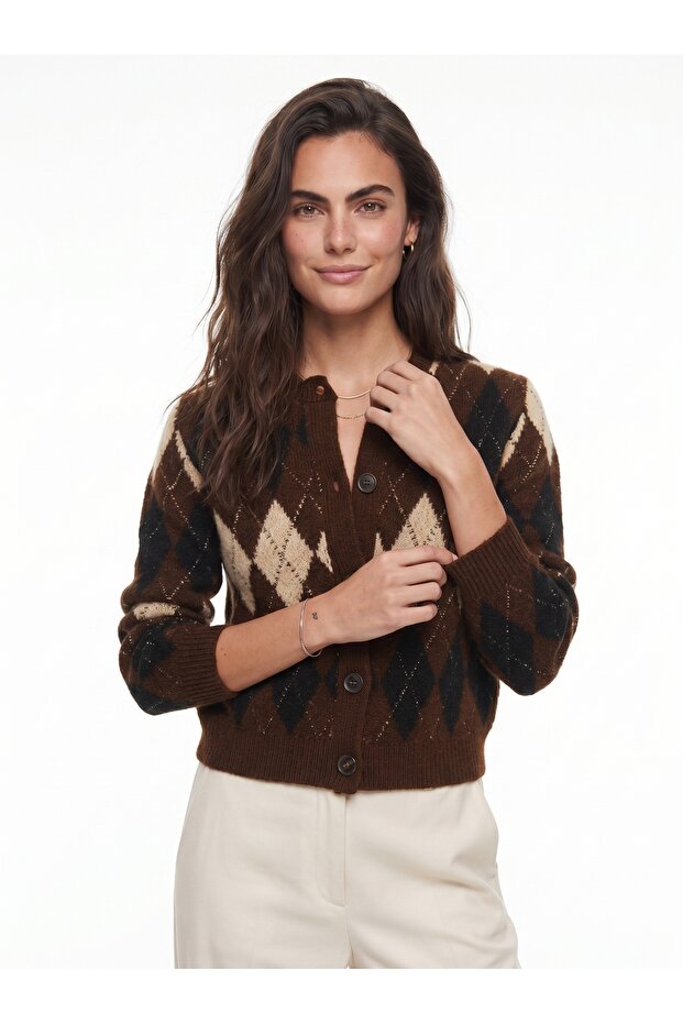 Brown Acrylic Blended Crew Neck Standard Fit Argyle Pattern Buttoned Cardigan