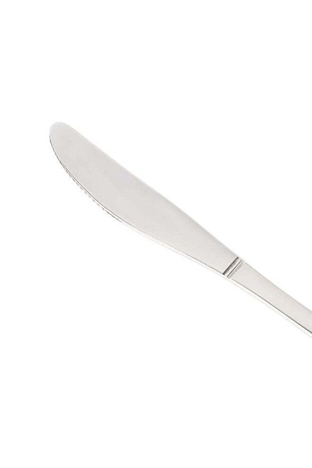 6-Pieces Stainless Steel Table Knife- DC2866 Dishwasher safe