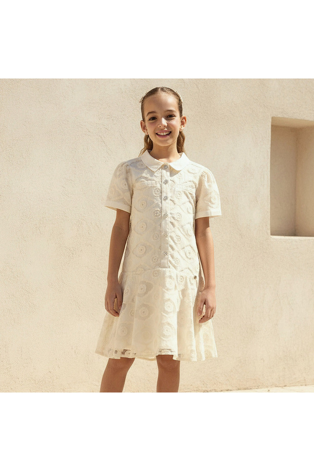 Collared Neck Short Sleeves A-Line Dress with Button Closure