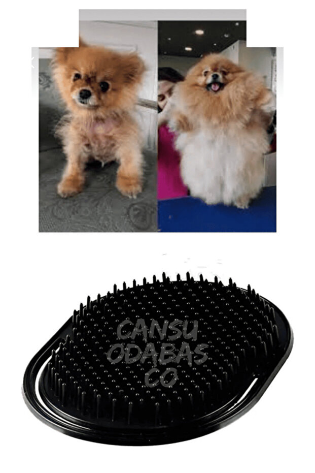 Pomeranian Hair Removal Comb Eliminates Knots and Improves Air Circulation.