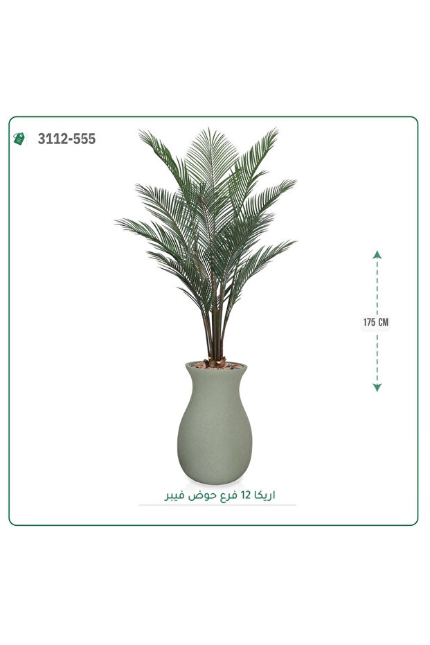 شجر أريكا صناعية حوض فيبر { ارتفاع 175 سم }