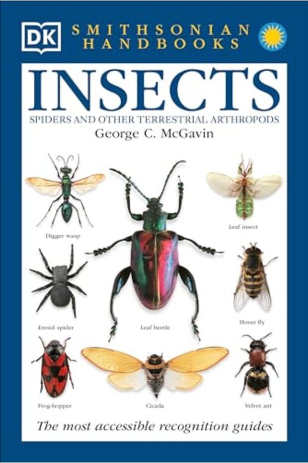 Insects: The Most Accessible Recognition Guide