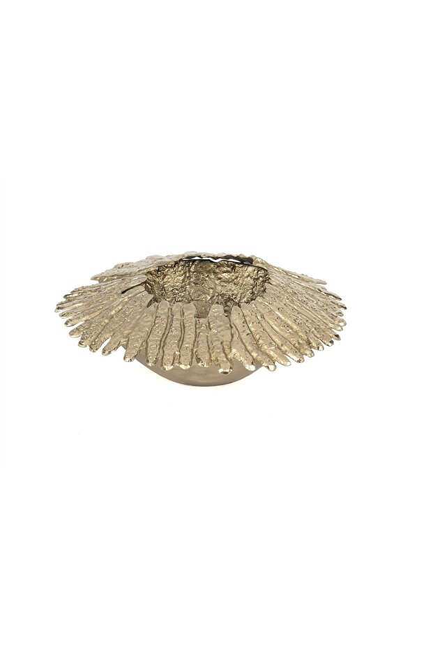 Champagne Gold Decorative Plate 15X43X44Cm