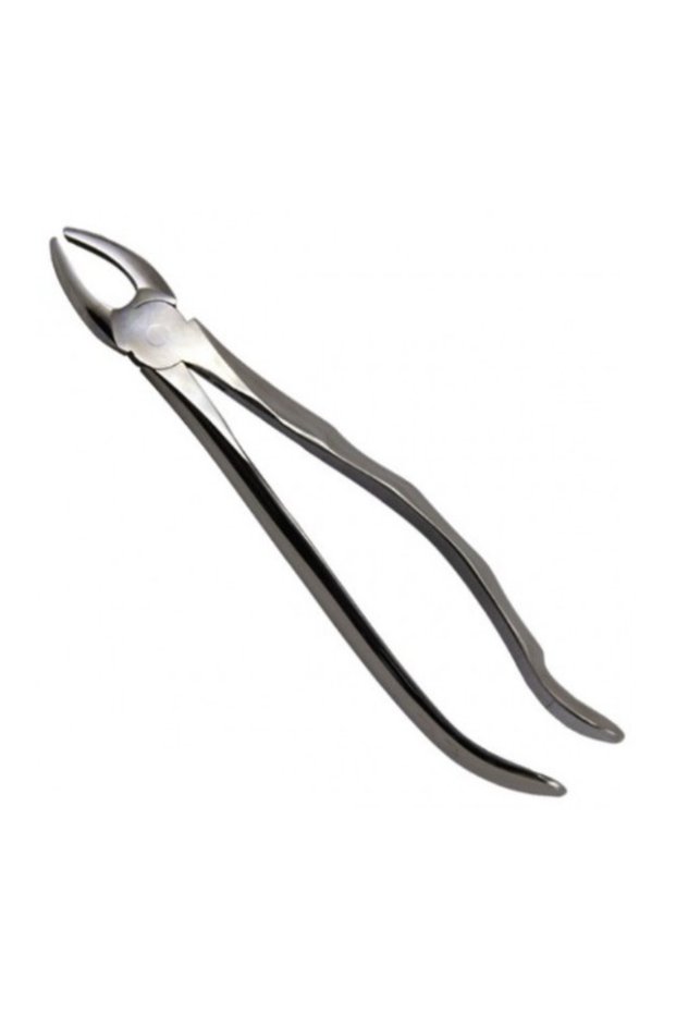 Cleste 7 - Premolar superior