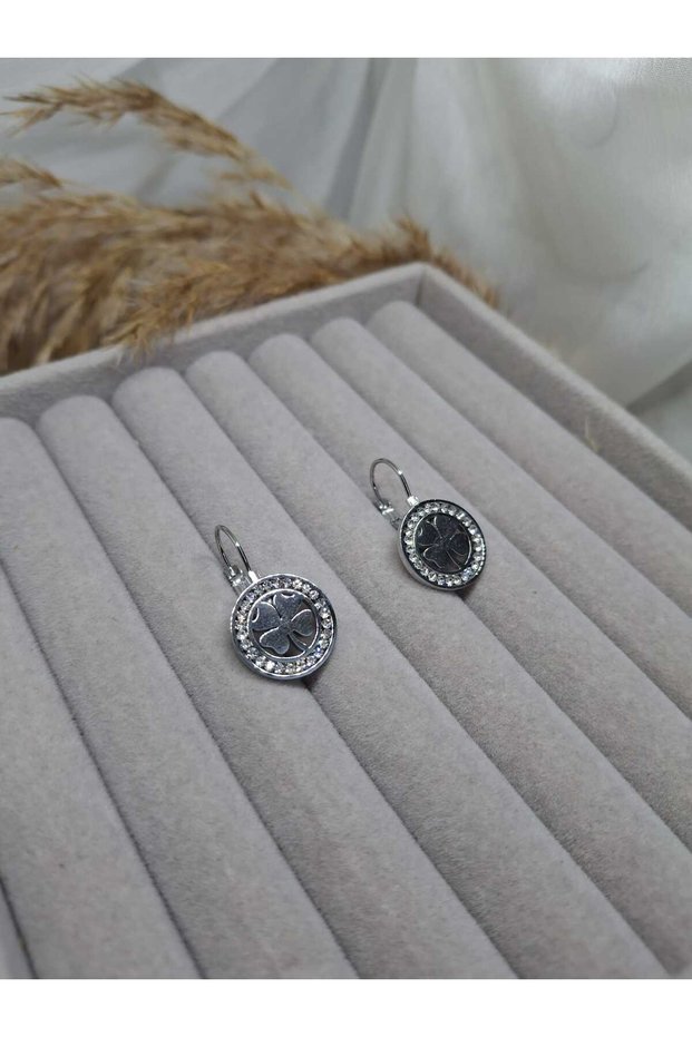 The Radiance of Love Double Heart and Four-Leaf Clover Zircon Stone Steel Earrings