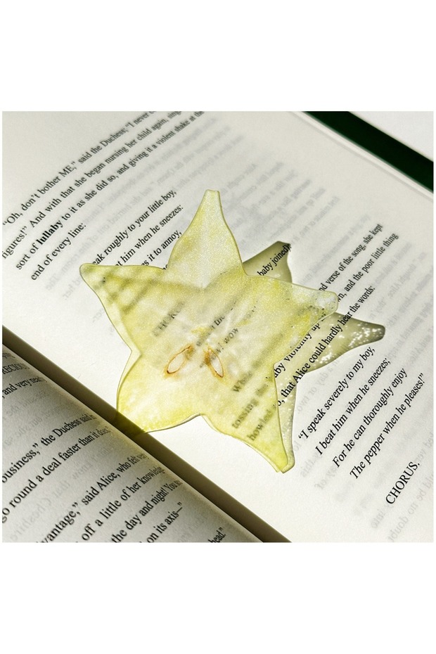 08 New Delicate Apple Bookmark Transparent Unique Grape Tomato Bookmarks Premium Feeling Reading Mar